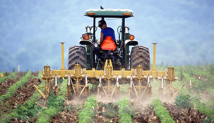 Résultat 2022 des entreprises agricoles : quoi de neuf ? 